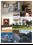 greenhome Magazin Leseprobe